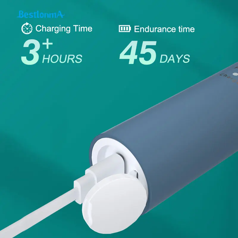 salz coloured toothbrushes 50 dispens lotus changeable reach good organiser vending unicicon catlion ultrasound toothbrush