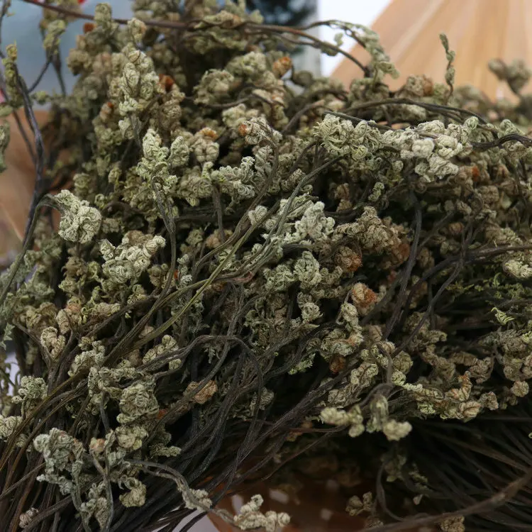 
dry production dried bracken dried Vegetables 