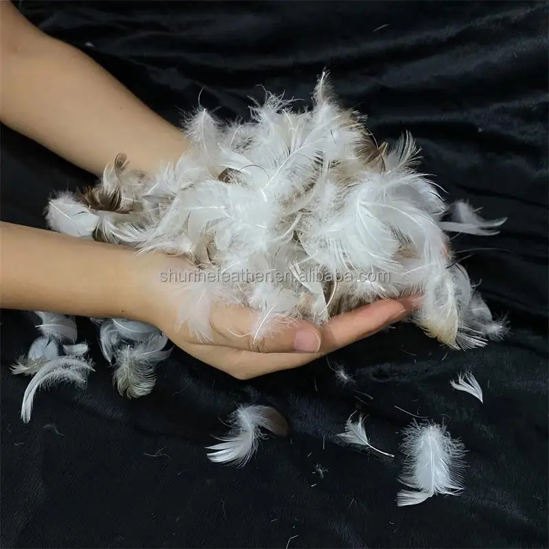 80% Washed Grey Goose Down