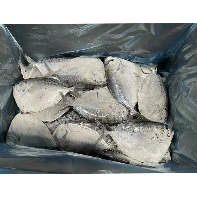 Морепродукты Лунная рыба океан морепродукты Красная Луна