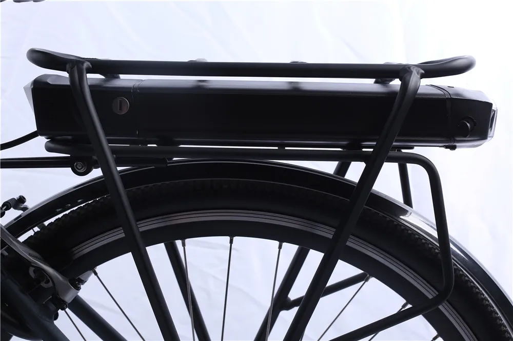 Europe Standard 250W Mid Drive Motor 36V 10Ah Electric Bike 28 Inch Fashion E-bike (THP-YT01)