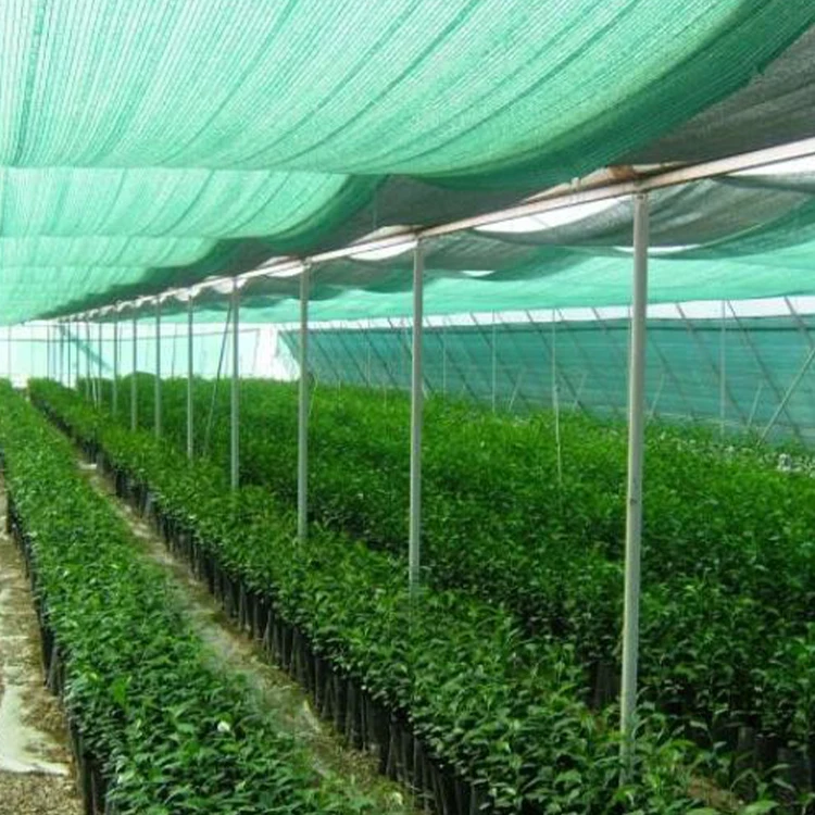 China export green plastic agricultural net shade