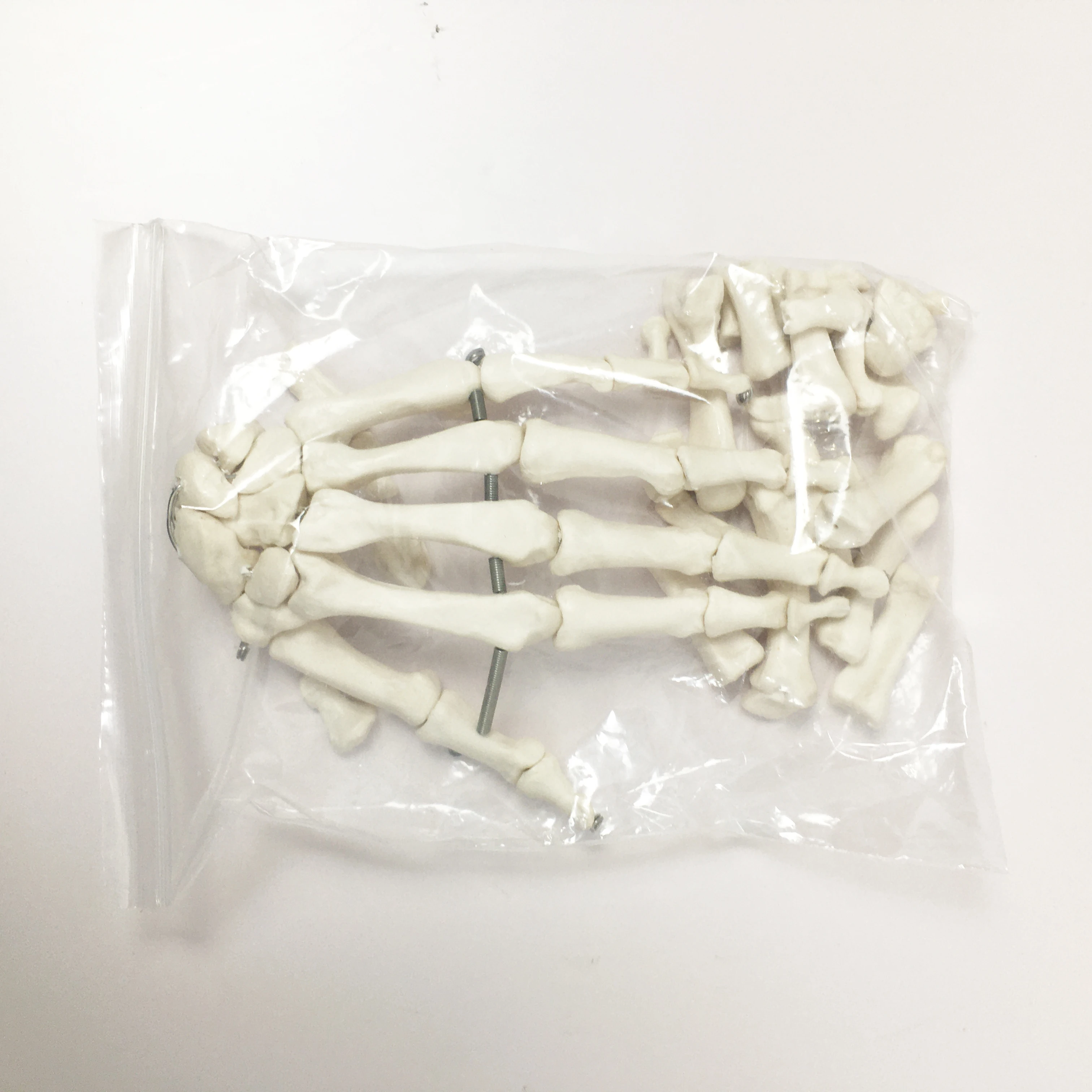 Hospital Medical PVC School Teaching Disarticulated Human Whole Body Scattered Bone Anatomy Skeleton Model With 3-Part Skull