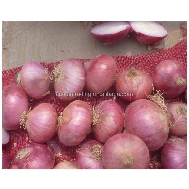Red Onion price