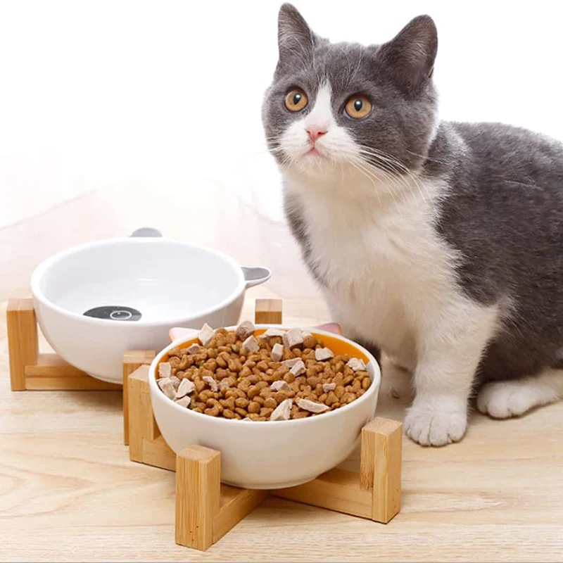 Wholesale custom matted elevated dog bowl non slip ceramic pet bowl with wooden stand