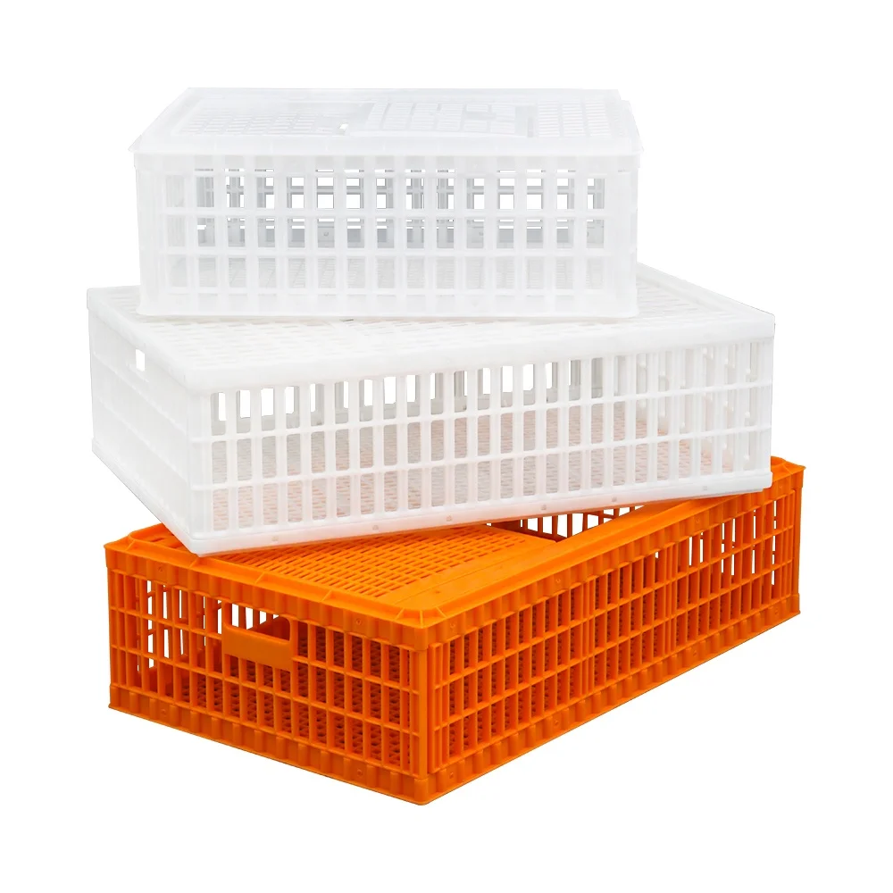 Good design nice appearance 900*600*230 mm sturdy plastic live bird shipping box / pigeons carrier crate