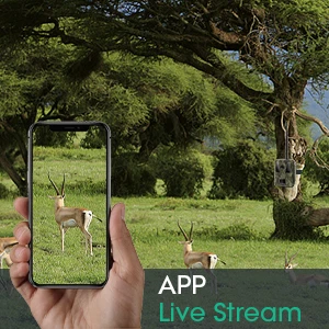 4K 36MP WiFi APP Live View Night Vision Hunting Trail Camera Home Surveillance Camera