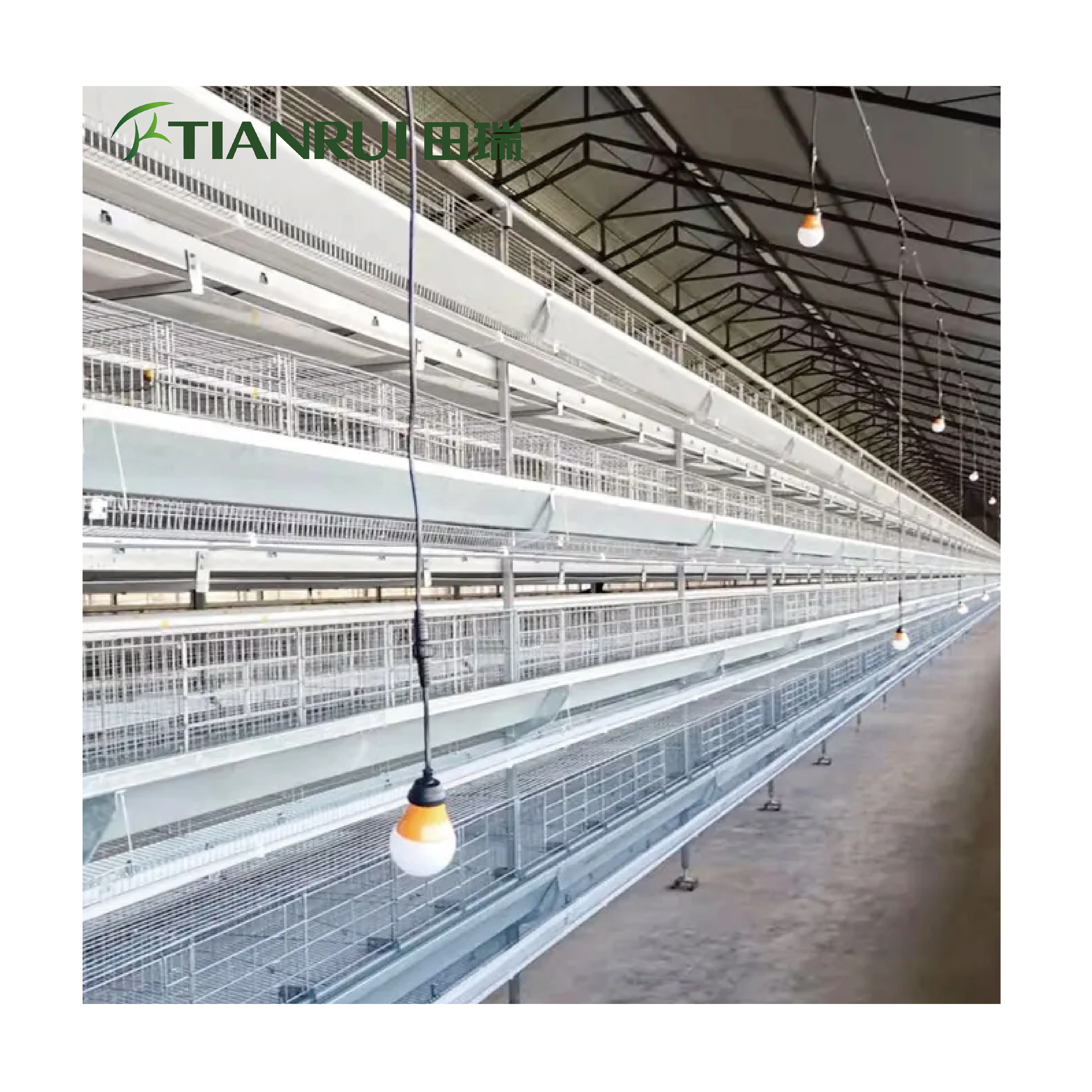 Клетка для курицы секонд-хенд сетка продажи курятник базовый аккумуляторная система в клетке гнездо