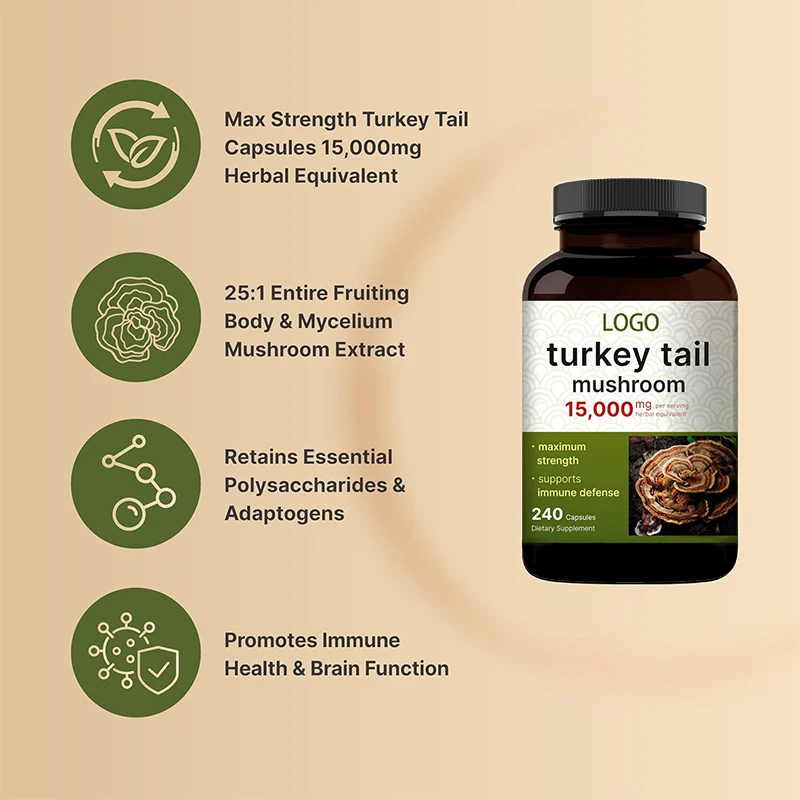 OEM Private Label Turkey Tail Mushroom Capsule Immune Health Herbal Supplements Mushroom Capsule