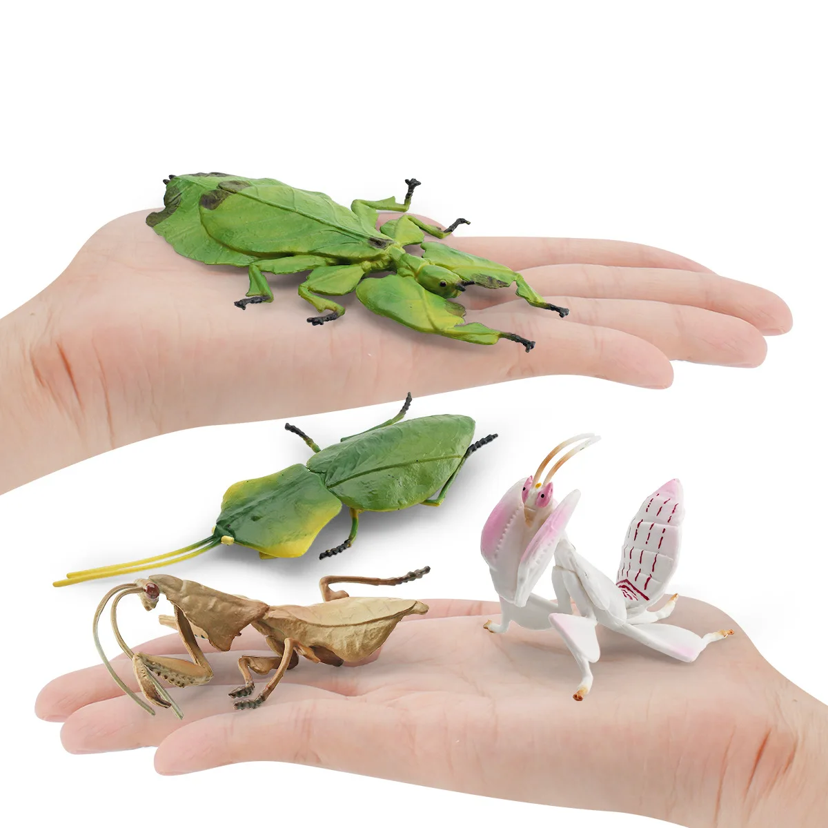 simulation of insect animal model Mantis Skelleri leaf  orchid mantis decoration