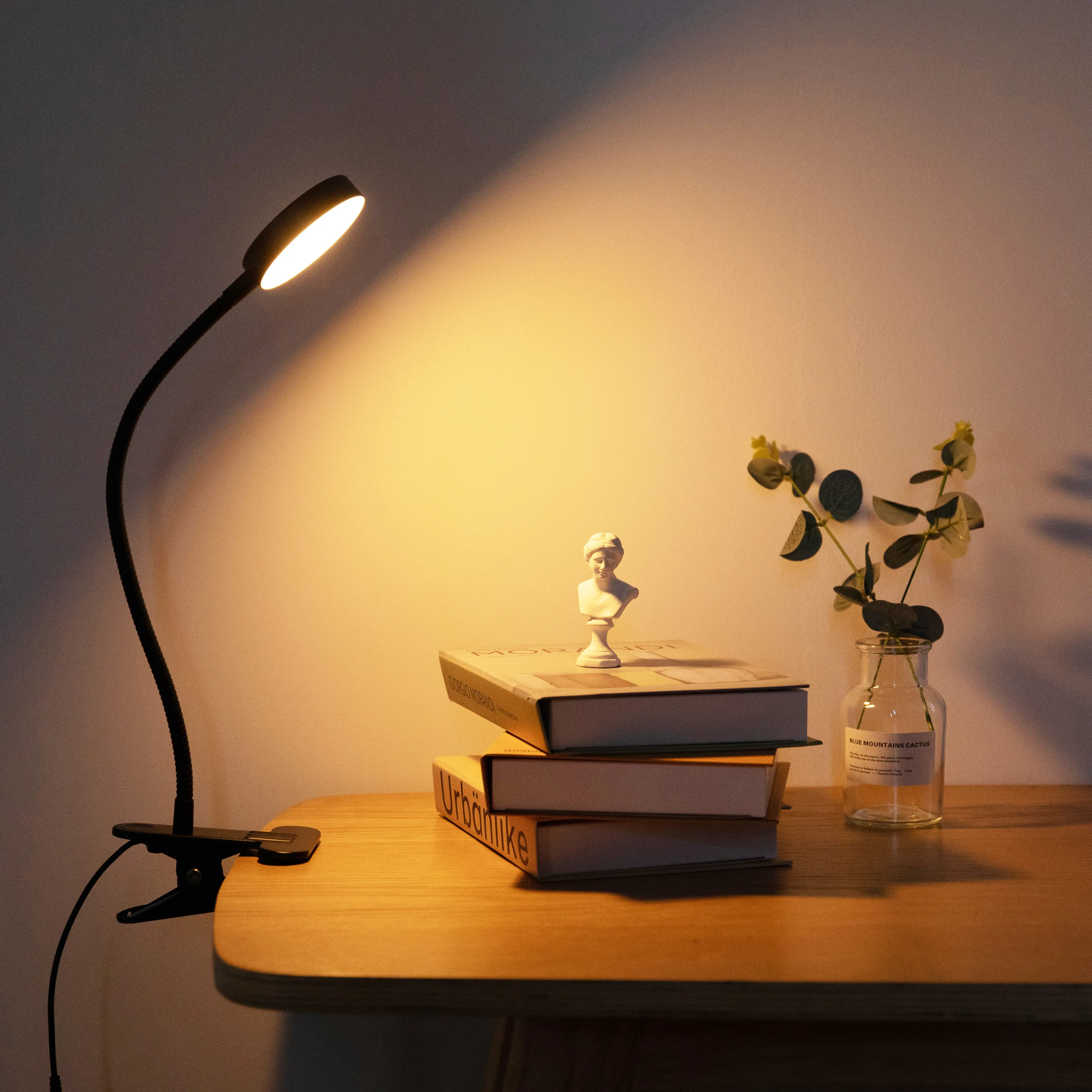 Nordic Energy Saving Flexible Neck Reading Light Led Usb Desk Clip Lamp Clamp On Table Lamp For Office