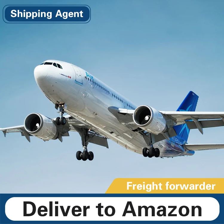 Door to door services sea and air freight FBA Amazon shipping agent china to USA UK France Germany Italy Canada Japan