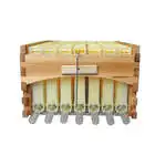 Autoclave Honey Beehive Hive Frame Automatic Self-Flowing Honey 7 Bee Hive Frames Set Apiculture Equipment Beekeeping Tool