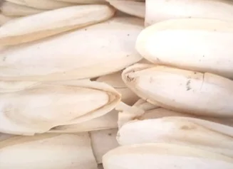 Premium Grade cuttlefish bone powder/dried cuttlefish bone/Ms.Thi Nguyen +84 988 872 713