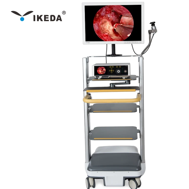 endoscope camera system for medical from IKEDA