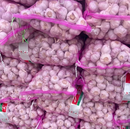 Purple White Garlic Supplier Export Good Quality Garlic
