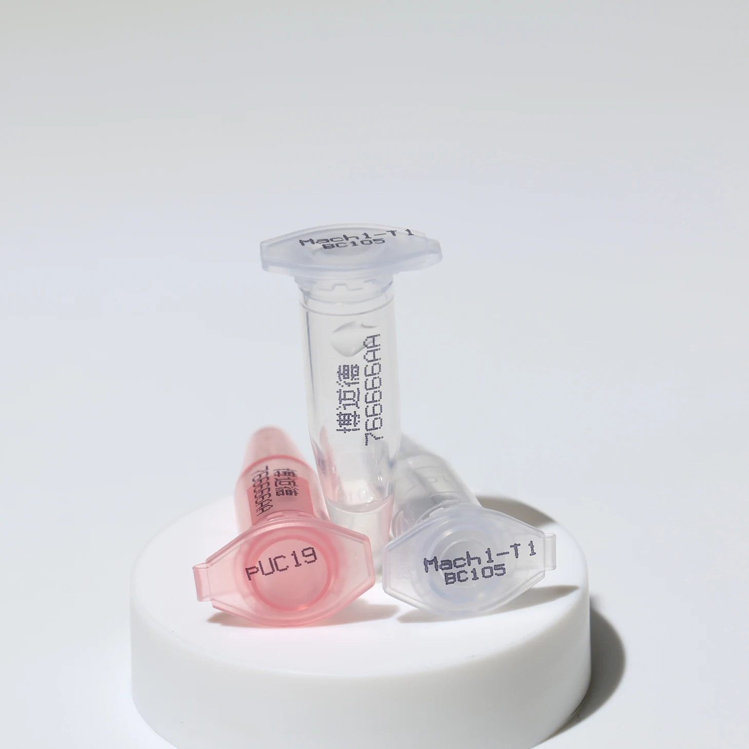 Competitive Price High Performance  Mach1-T1 Chemically competent cells