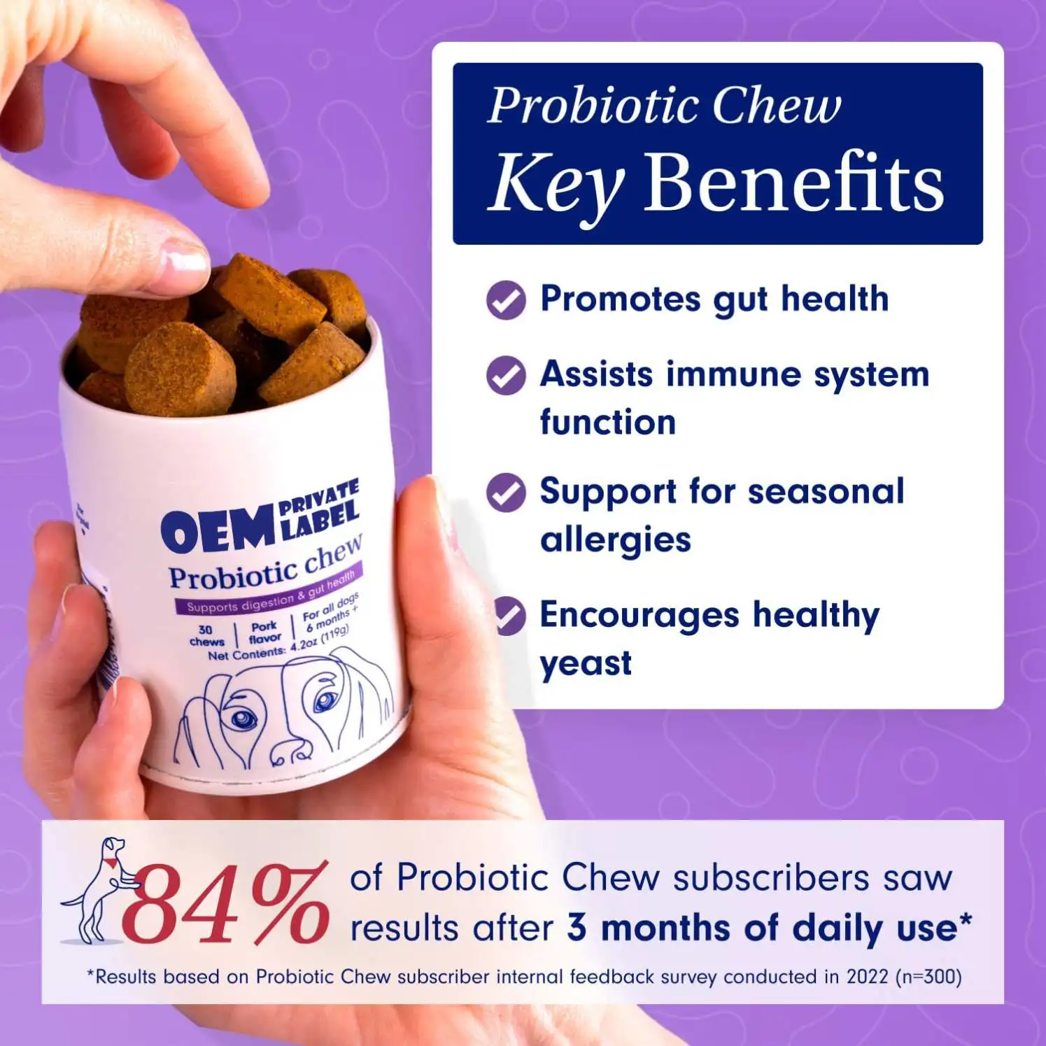 OEM Dog Probiotics for Gut Health Seasonal Allergies Digestive Support Probiotics Chews