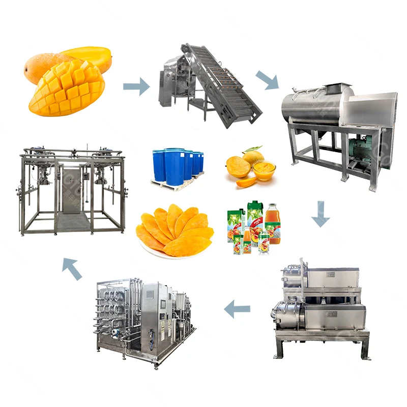 Automatic dry/dried/drying fruit plant machine processing line manufacturer
