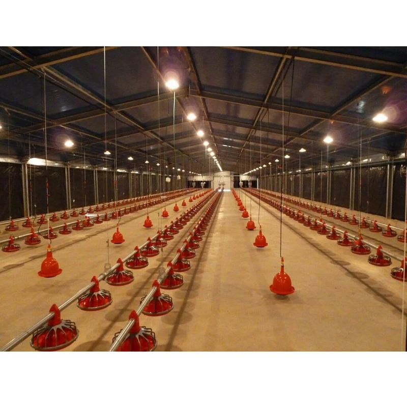 Строительный стальной домик для птицеводства с металлической рамой