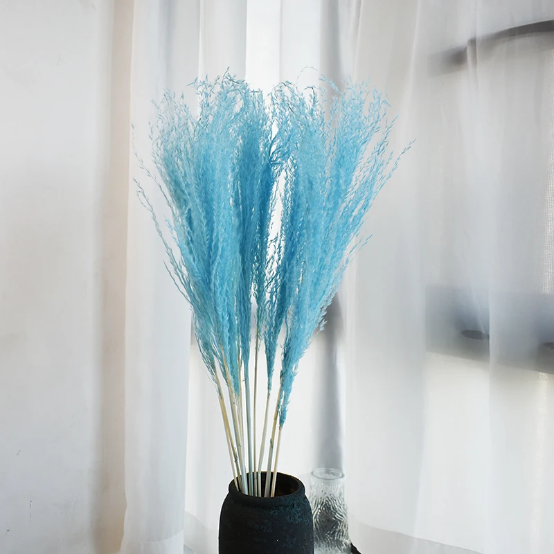 Natural Pampas Grass Dried Flowers Wedding Decoration Small Pampa Grass Natural Pampas Grass  decorative for outdoor decor