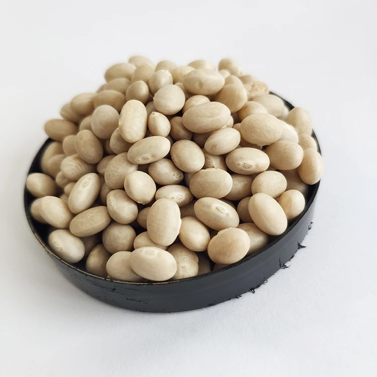 Wholesale Chinese Low Price White Navy Kidney Beans