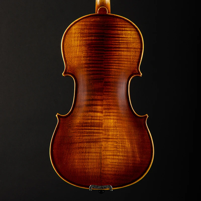 Christina V03 Handmade Solid Wood Violin Set with Case String and Wood Bow Spruce Face Maple Sides