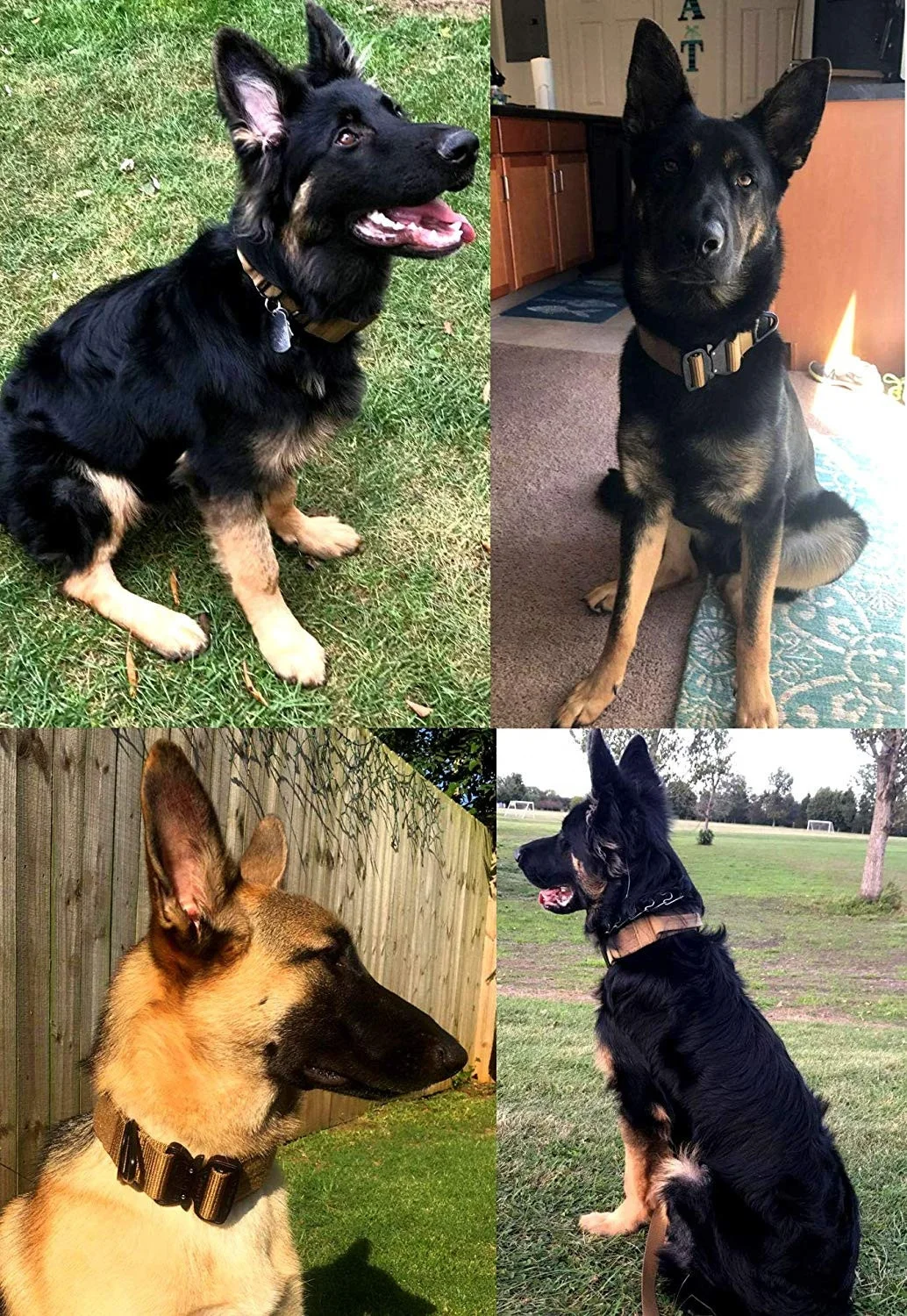 Manufacturer Design Your Own With Handle Tactical Braided Pet Collar