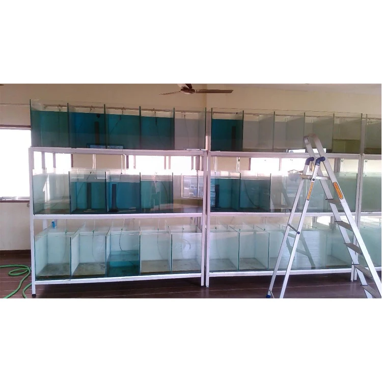 direct sale transparent glass live fish dinning room tea table glass fish tank