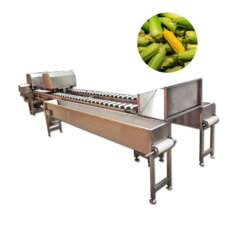 Waxy corn cooking cooling processing line corn kernels cooking machine large continuous cooking machine