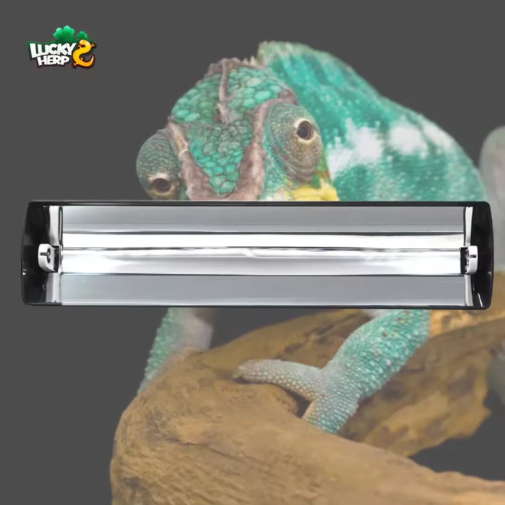 T5 8W reptile light fixture uvb ho beard dragon gecko lizard terrarium lamps for pet cages reptile enclosure