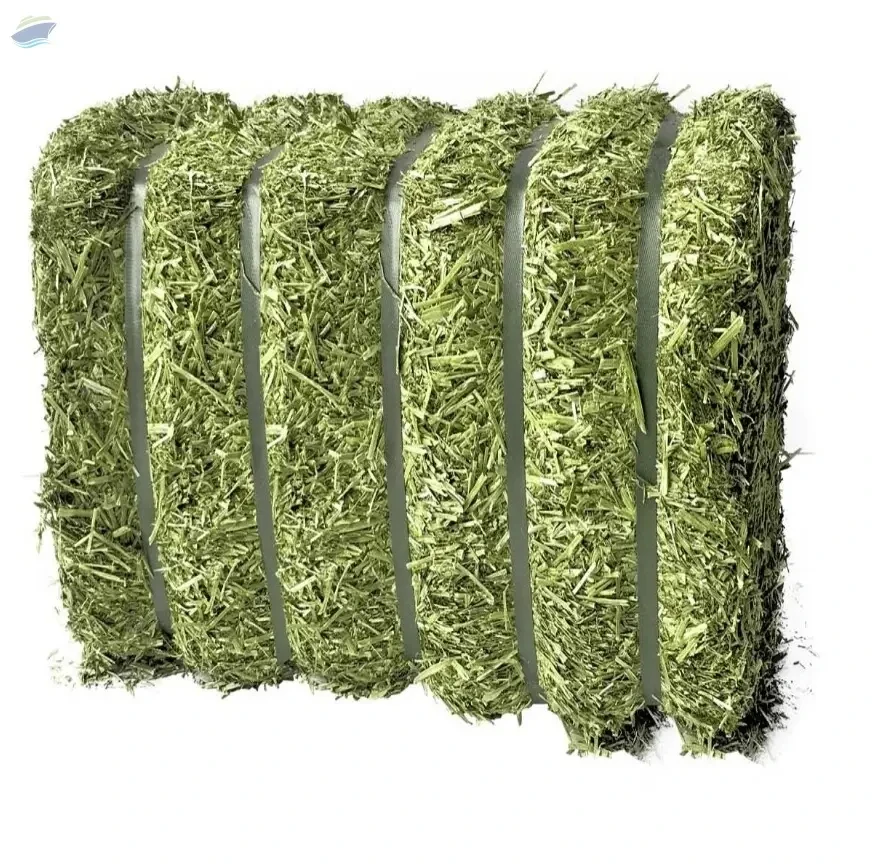 Высококачественная богатая питательными веществами люцерны тюки для сена сушеный корм рыб крупного рогатого скота лошадей собак прямо от ведущих экспортеров