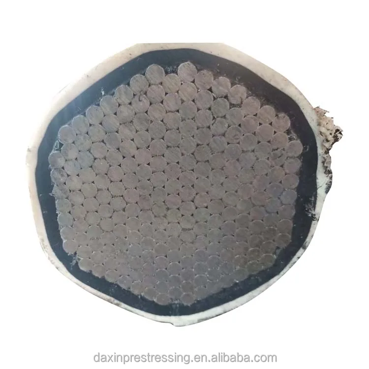 Vertical and inclined hangers with parallel strands for stayed cable bridge