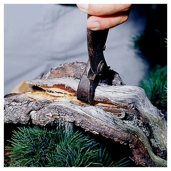 High quality garden multi bonsai tree tools with tough quality