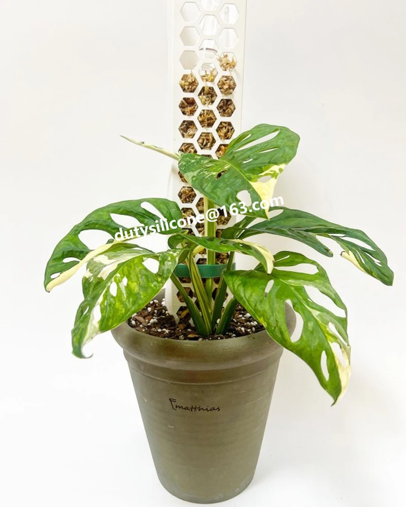 plastic Honeycomb Coir water Moss Poles Stick For Plant Stands column,climbing Indoor Plants Moss Poles Transparent