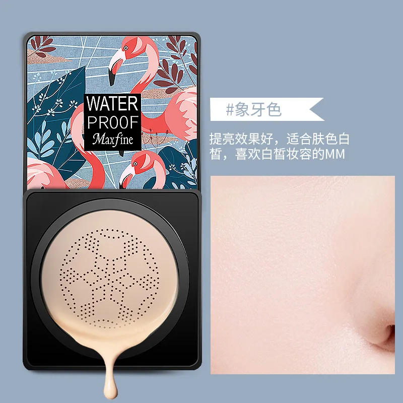 mushroom head air cushion concealer waterproof BB cream makeup private label  face oem foundation(new)