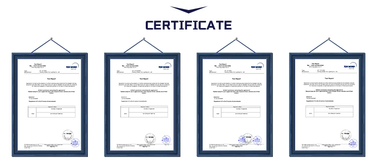 12v 30w Bulb Halogen Popular in Medical Analysis Instrument Medical Profession Halogen Lamp Bulb
