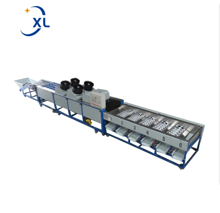 Fruits Washing Grading Machine CE