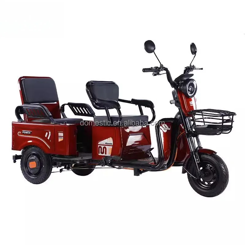2024 3 Wheel For Adult Use China Trimoto Rural areas farms cities Electric Tricycles 800W/1000W Passenger Seat With Rain Cover