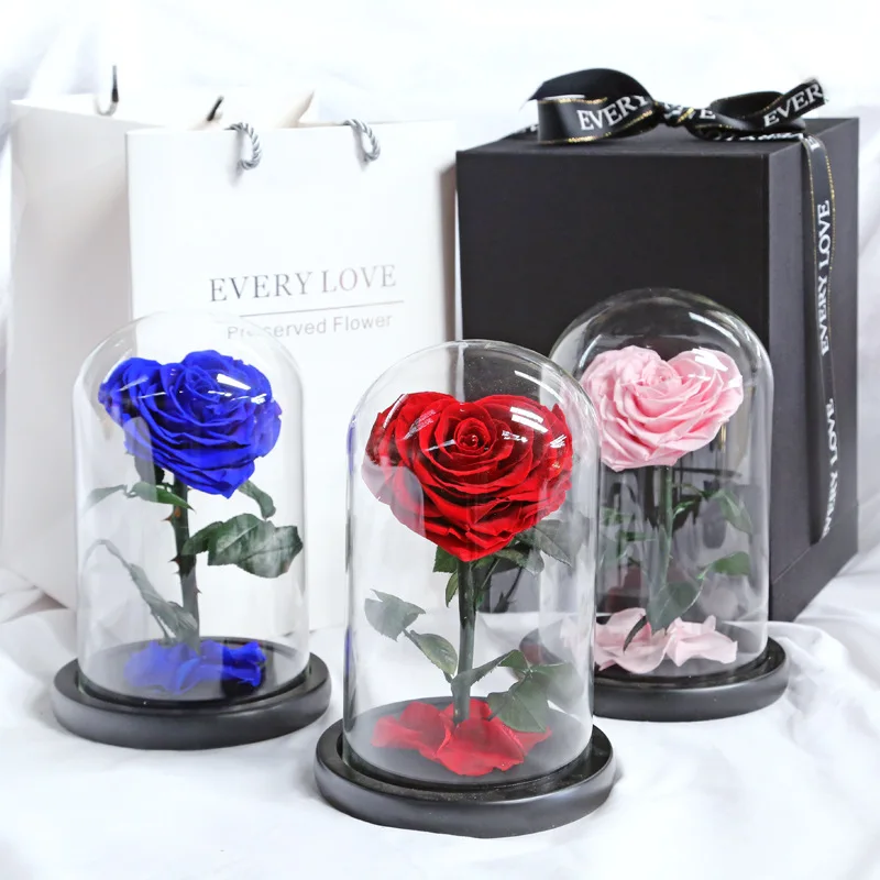 Wholesale Price beauty and the beast roses preserved roses in glass dome