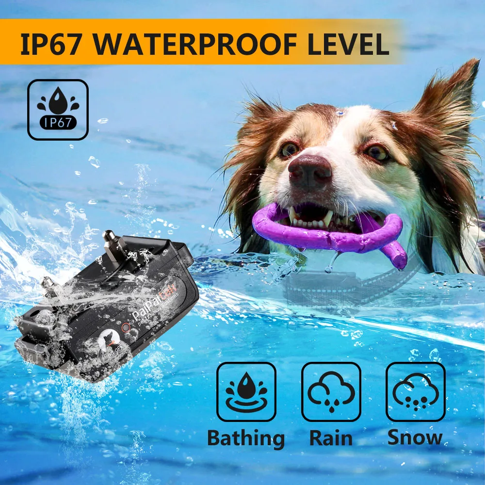 Rechargeable Barking Device Dog Beeper No Shock Collar Dog Training Collar With Remote Control