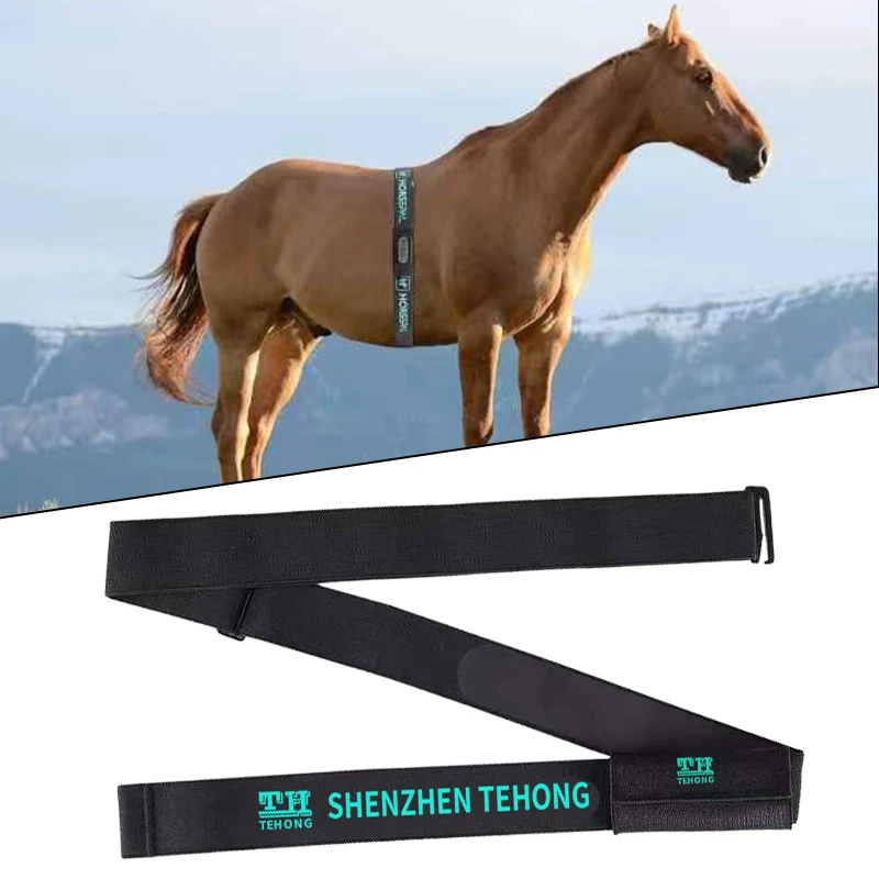 Snap-in adjustable length custom logo horse racing detachable heart rate monitor sensor accessories heart rate chest strap