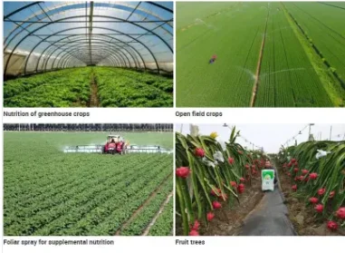 Manufacture 99% Monopotassium Phosphate/monobasic potassium phosphate MKP potassium dihydrogen phosphate