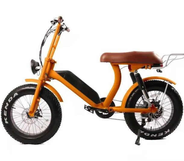China low price customized 500W / 750W 1000w 48V retro fat tire ebike 20inch full suspension electric bike bicycle