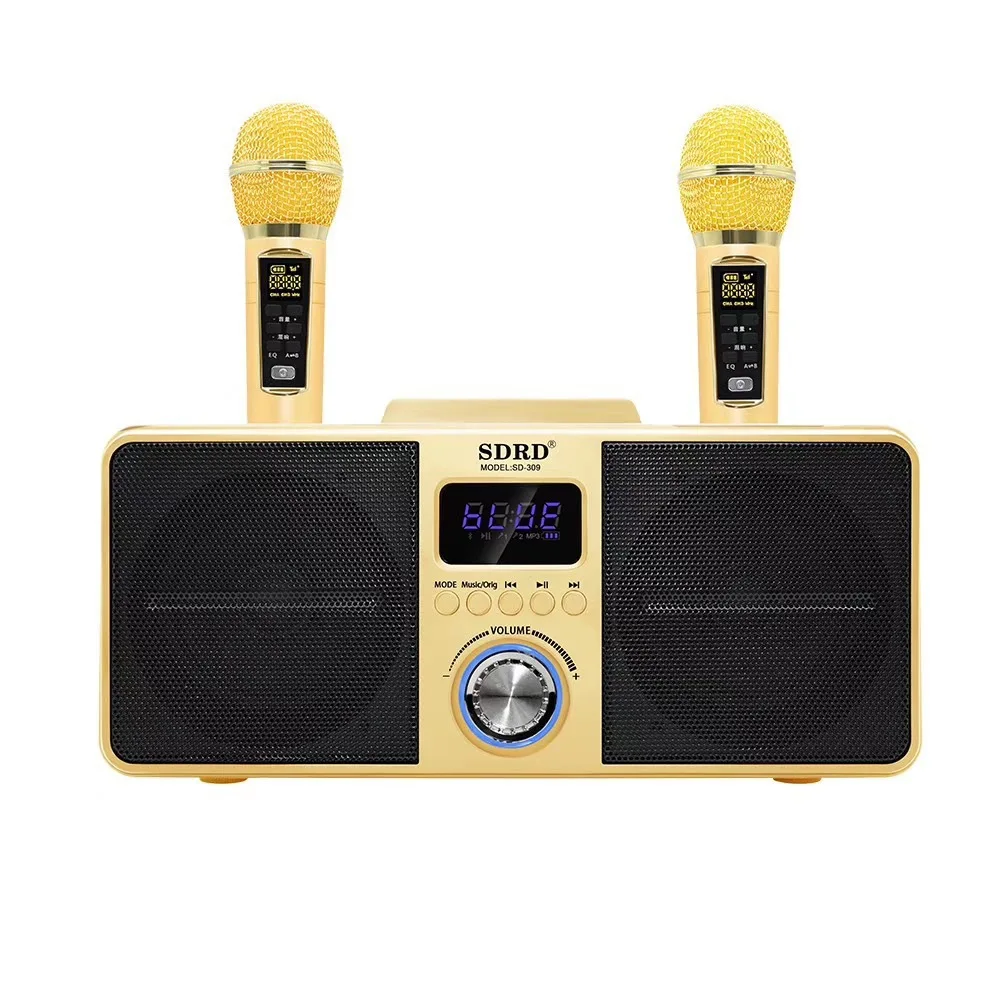 Семейный караоке-микрофон SD309 KTV двойной микрофон поддержка TF / USB для беспроводного микрофона