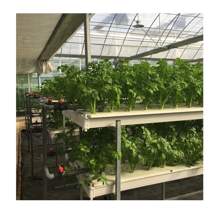 Гидропонная система DWC салатная теплица