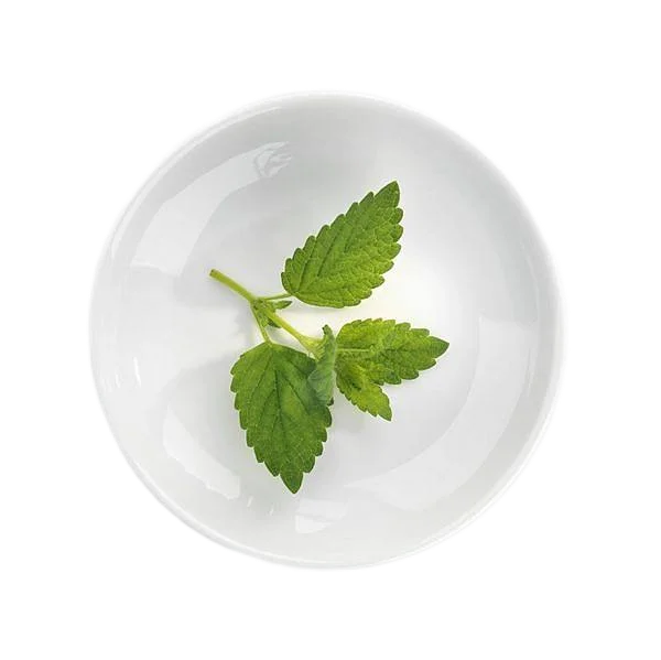 Mint Oil Flavor with Cool and Refreshing Mint Aroma food flavour High Quantity for Cookies and Sweets