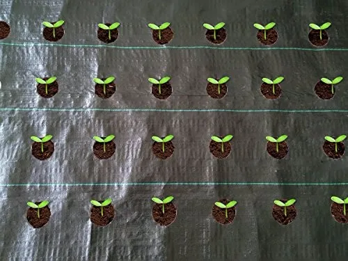 Black 100g/m2 factory direct selling ground cover for greenhouse