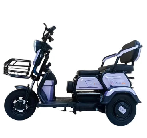 Three Wheels Electric Passenger Tricycle Enjoy Leisure Time Seat Foldable Electric Pedicab