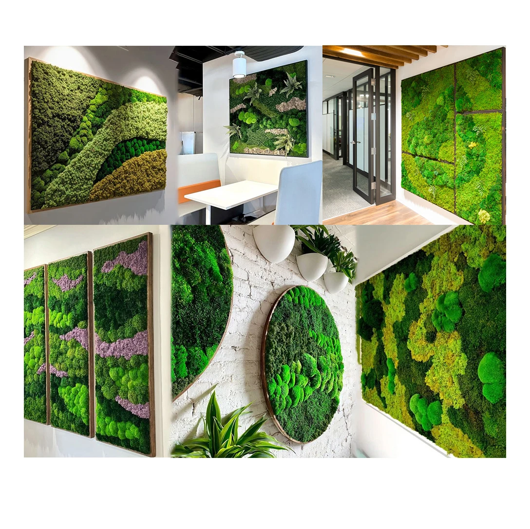 Free size artificial real preserved live moss wall art moss Picture Frame decorations panel artificial moss grass wall